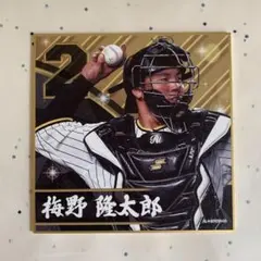 梅野隆太郎 阪神タイガース ミニ色紙