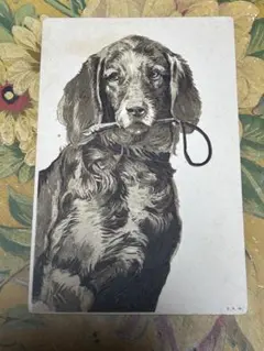 1900〜1915年頃アンティーク・ドイツ絵葉書　犬ポストカード