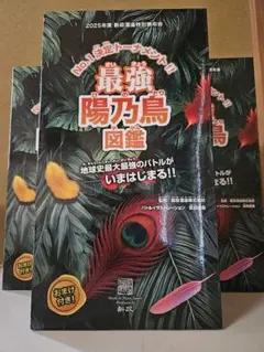 2026年最新】新政 頒布会 第二弾の人気アイテム - メルカリ