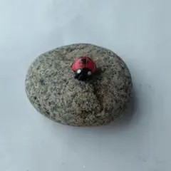 ペーパーストーン　てんとう虫