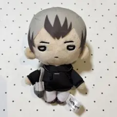 ハイキュー 菅原孝支 にとたん おおきい ぬいぐるみ - メルカリ