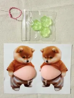 柴犬　お腹　シール　スクイーズ　お腹　ぽっこり　シリコン　肉球　ぷにぷに