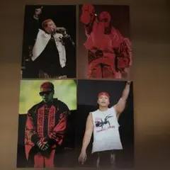 ランペLIKIYA PRIMAL SPIDER ポストカード 4枚セット