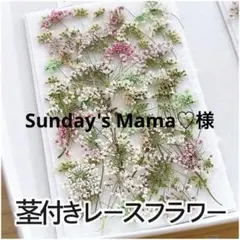 Sunday's Mama♡次回5月8日様 リクエスト 2点 まとめ商品