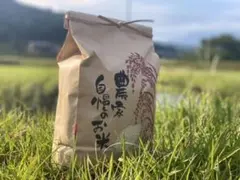 生活応援！　国産複数原料米 10kgのサムネイル