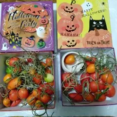カラスウリ　ハロウィーン デコレ 化粧箱おまけ バラ売セット 商品価格￥2025