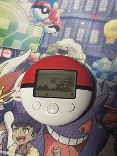 ポケウォーカー　動作確認済み　ポケモン　DS