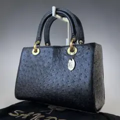 未使用級☆JRA公認 SANPO オーストリッチ ハンドバッグ 白 ゴールド金具 未使用級☆JRA公認 SANPO オーストリッチ ハンドバッグ 白 ゴールド