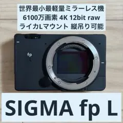 SIGMA fp L ボディ 16-300mm レンズ EVF-11 セット販売 SIGMA fp L ボディ 16-300mm レンズ EVF-11 セット販売 - メルカリ