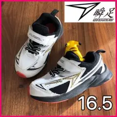 現行モデル シュンソク GT-S ホワイト スニーカー 16.5 3E