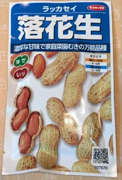 【千葉半立】落花生 正規品 約25粒 （26年10月期限）のサムネイル