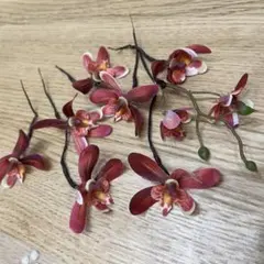 Item thumbnail for item 67edc616-d639-40cf-b17c-191f0db9dd7e