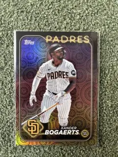 2025年最新】ザンダーボガーツの人気アイテム - メルカリ