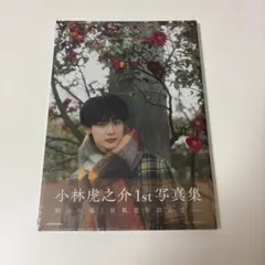 小林虎之介　直筆サイン　ポストカード 2025年最新】小林虎之介 サインの人気アイテム - メルカリ