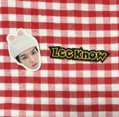 リノ　StrayKids スキズ 展覧会 缶入りフレークシール