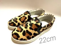 Item thumbnail for item d28ec48e-3516-4f08-bb2f-7ebf846f6982