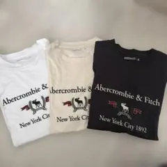 Abercrombie & Fitch Tシャツ 3枚セットのサムネイル