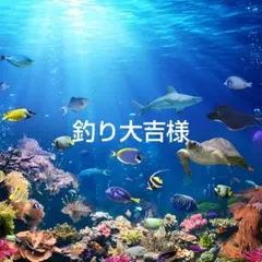 釣り大吉様 リクエスト 3点 まとめ商品