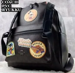 Item thumbnail for item 1c16be19-7529-436b-88f5-c8d117900220