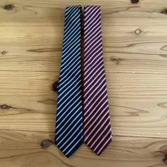 THE SUIT COMPANY ネクタイ 2本セット