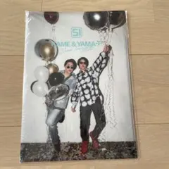 亀と山P クリアファイル【値下げしました！】