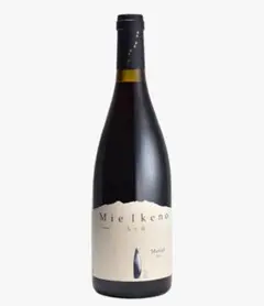 【空きビン】希少　初期ドメーヌ・タカヒコ　ナナツモリ　空き瓶・コルク6本セット 2025年最新】ドメーヌタカヒコの人気アイテム - メルカリ