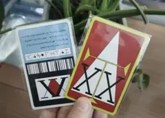 最安値　ハンターハンター　ライセンスカード2枚　HUNTER×HUNTER