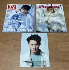 Snow Man 岩本照 表紙 雑誌 3冊セット FIGARO PICT UP他