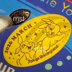 ディズニー スーベニアメダル マンスリーメダル 3月 とんすけ ミスバニー