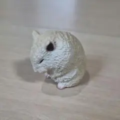 おじぎさん 二礼 ハムスター