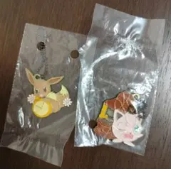 ポケモン 一番くじ メタルチャーム