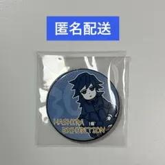 鬼滅の刃』柱展 柱百景 エモーショナル缶バッジ 冨岡義勇【40】 - メルカリ