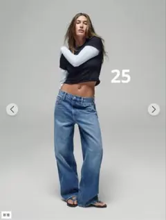 The Hailey エクストラバギー 25のサムネイル