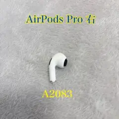 Apple AirPods Pro 片耳 R 片方 右耳 A2083
