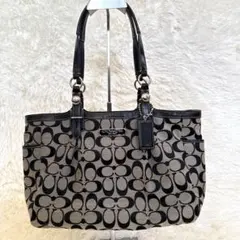 COACH シグネチャー トートバッグ