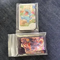 ポケモンフレンダベストタッグ３弾スーパートレジャーガブリアス、オマケワニノコ