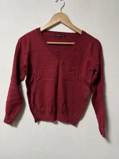 INGNI イング　Vネックニット