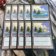 Item thumbnail for item 01f4d739-25cd-4aee-a554-f0017e20a313