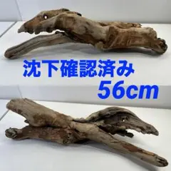 W85沈下確認済み アク抜き済み流木 アクアリウム 爬虫類シェルターのサムネイル