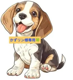 かずリン様専用⭐リクエスト みきゃんロールケーキ