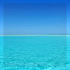 HAL様 リクエスト 2点 まとめ商品