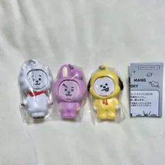 【匿名配送】BT21 フォトフレームマスコット RJ chimmy cooky