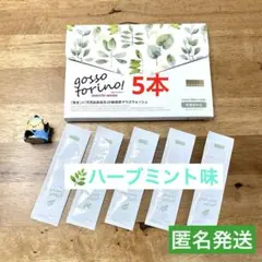 Item thumbnail for item f047ac81-a2db-45e6-abb1-4dc95bdfcbc8