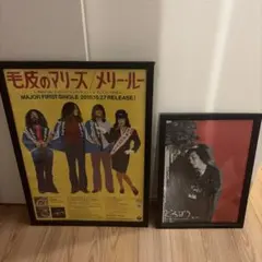 毛皮のマリーズ・ドレスコーズ ポスター2点セット 毛皮のマリーズ「Mary Lou ポスター」 志磨遼平 ドレスコーズ 非売品