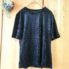 ☘️【23区】 ベロア シースルー カットソー 半袖 黒 38 トップス