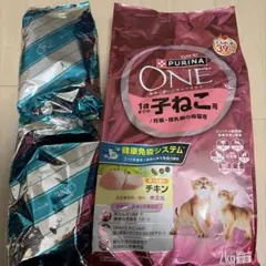 Item thumbnail for item b95649eb-7213-4e2e-91ac-fd5618275340