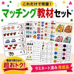 限定値下げ！◎超お得◎ひらがな教材セット 自立課題 療育教材 特別