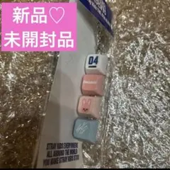 straykids キーリング　skzoo トェッキ　チャンビン