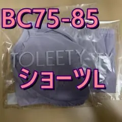 TOLEETY 軽やかストレスフリーブラ ショーツL BC75-85 匿名配送zのサムネイル