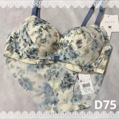 ワコール　パルファージュ　リボンブラ＆ショーツ　D75　新品　匿名配送　花柄